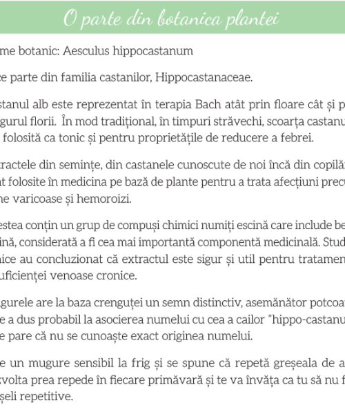 Captură de ecran 2025-05-15 232911